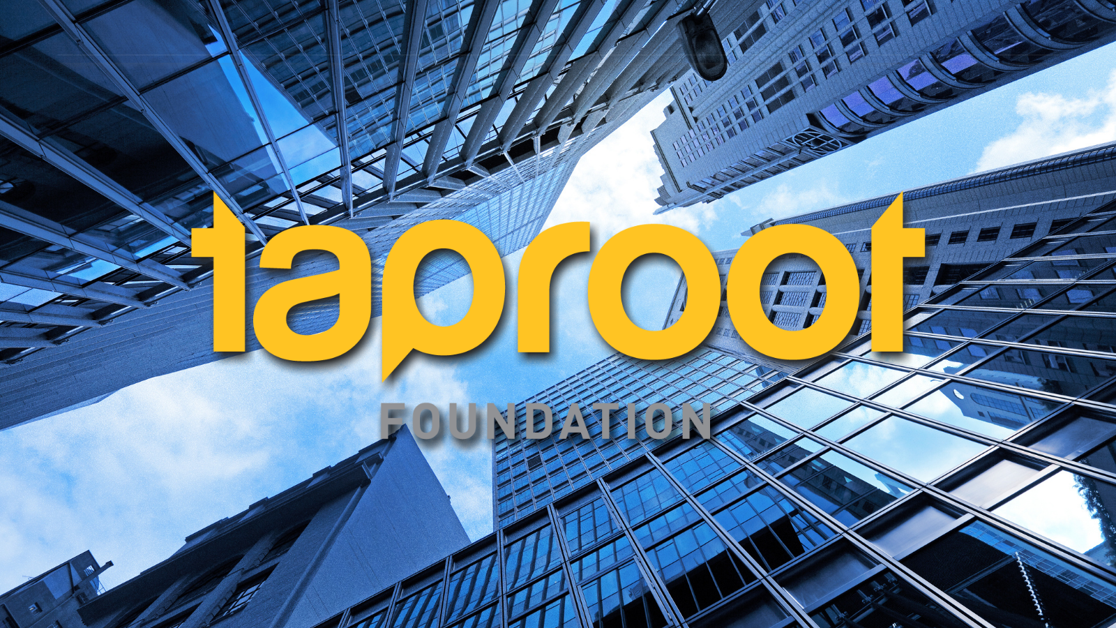 Taproot Foundation Approves Volunteer Fundraiser